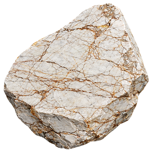 Lion Stone Art